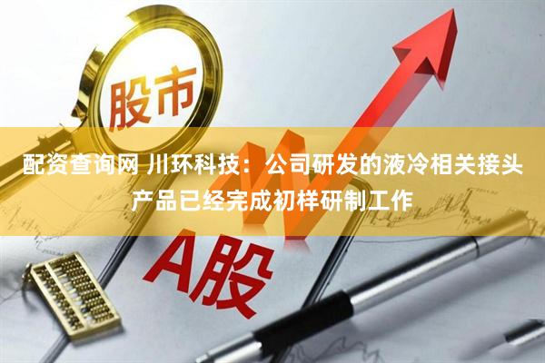 配资查询网 川环科技：公司研发的液冷相关接头产品已经完成初样研制工作