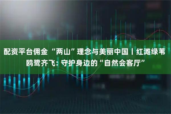 配资平台佣金 “两山”理念与美丽中国丨红滩绿苇 鸥鹭齐飞: 守护身边的“自然会客厅”